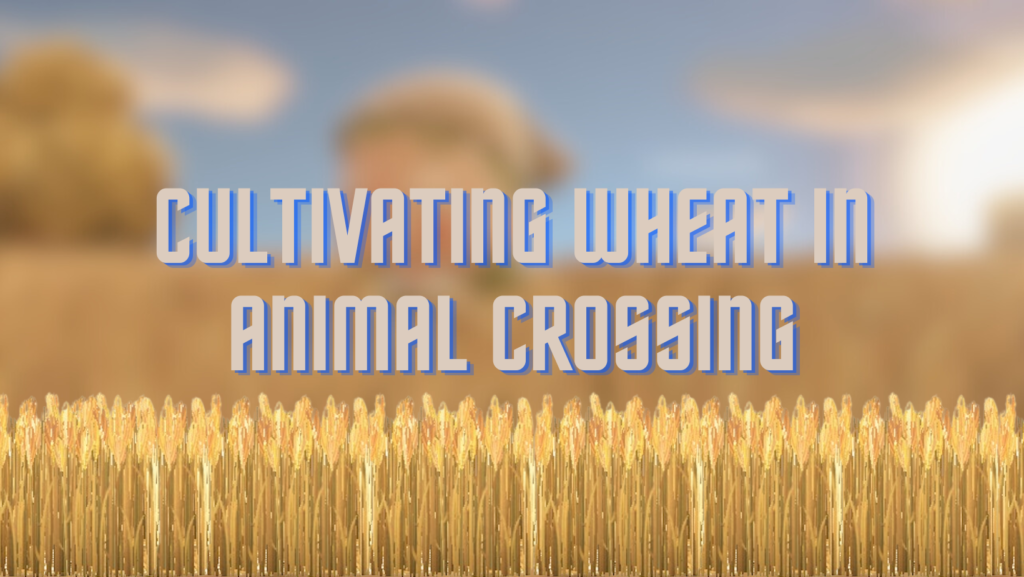 wheat in animal crossing