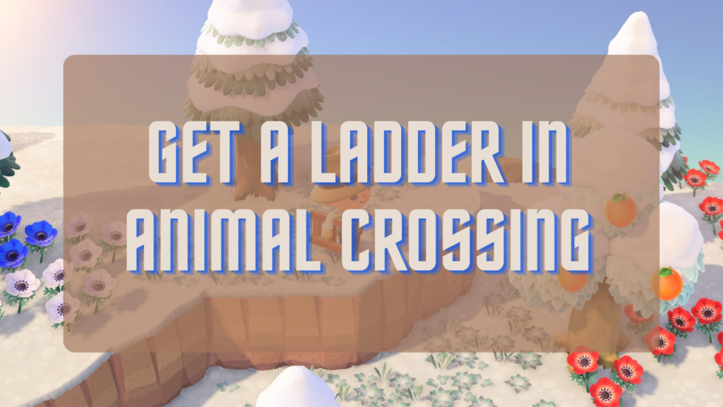 get a ladder in animal crossing