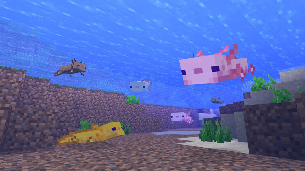 Ocean biome Axolotl