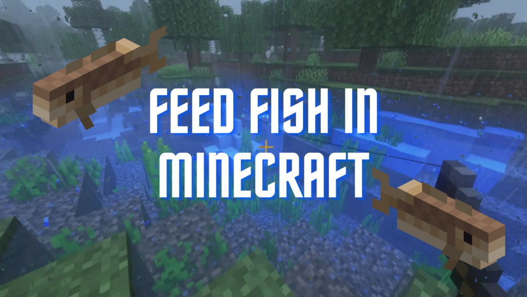 Feed Fish in Minecraft